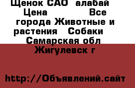Щенок САО (алабай) › Цена ­ 10 000 - Все города Животные и растения » Собаки   . Самарская обл.,Жигулевск г.